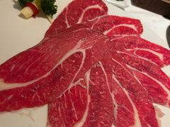 -汤城·料青山