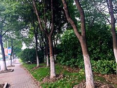 -江南大学(蠡湖校区)
