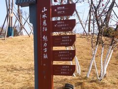 -恩阳古镇