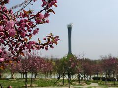 -沈阳植物园