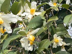 -敬亭山风景名胜区