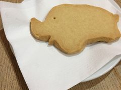 大象饼干-大象咖啡馆