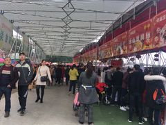 -秀丽东方