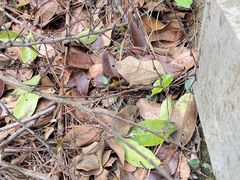 -敬亭山风景名胜区