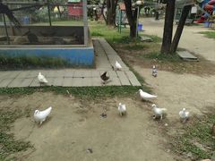 -广东花都香草世界旅游度假区