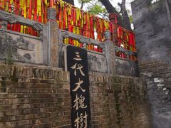 -大槐树寻根祭祖园