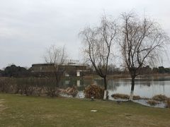 -九里河湿地公园