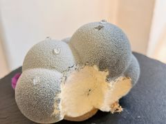 小鸡蹲蘑菇-茶是一枝花泡茶店