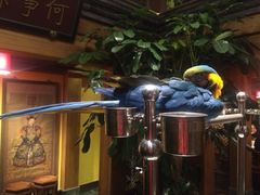 iphone_upload_pic-那家小馆•北京菜•烤鸭(中关村店)