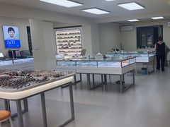 -潘多拉眼镜·蔡司依视路明月(潘家园店)