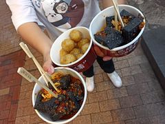 -黑色经典臭豆腐·湖南特产(坡子街店)