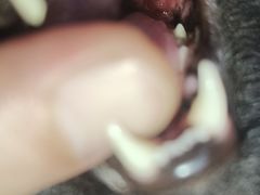 -宠颐生中康贝怡动物医院
