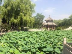 -莲池书院博物馆