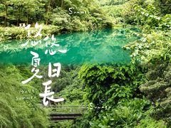 -紫云谷景区