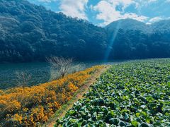 -广州市石门国家森林公园