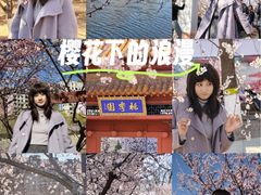 -桃花堤公园