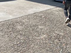 -壹只卤鹅·潮汕菜(莲塘店)