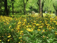 -苏州河梦清园环保主题公园