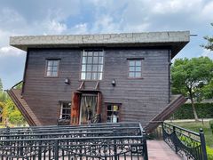 -金山农民画村-枫泾波兰倒置屋