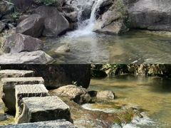 -广州白江湖森林公园