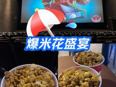 -CGV影城(红博中央公园IMAX店)