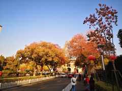 -南京市规划建设展览馆