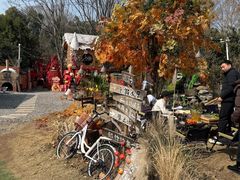 -HERRE·FARM 赫尔露营农场·团建聚会包场