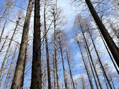 -同里国家湿地公园