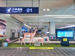 -西宁曹家堡国际机场-T2航站楼