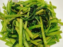 -峨嵋一派