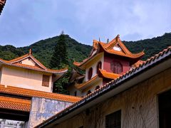 -深圳仙湖植物园