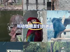 -石家庄市动物园