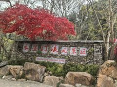 -水墨汀溪风景区