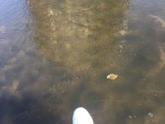 -天津东丽湖风景区