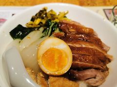 金奖卤鹅肉饭-陈鹏鹏潮汕菜(宝安机场T3航站楼店)