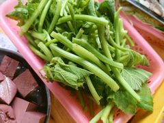 黄瓜苗-秧塘牛八宝(金山路店)