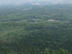 -紫金山天文台