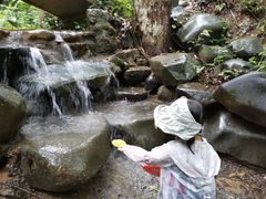 -火炉山森林公园
