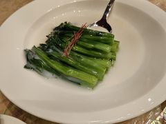 -8餐厅(新葡京酒店)