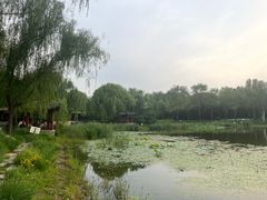 -北坞公园