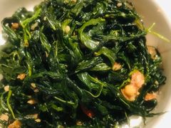 金蒜炒麻叶-MR鹅外
