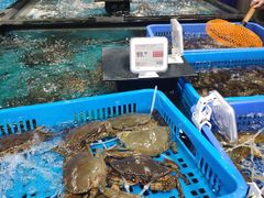 水产区-盒马鲜生(皇庭广场店)