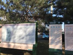 -玲珑塔公园
