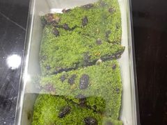 -重八牛府之小有名气(大望路店)