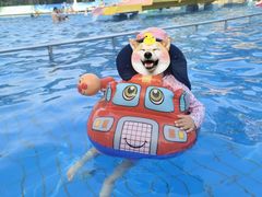 -青年湖公园水上世界