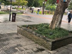 -高淳老街