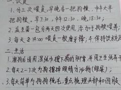 注意事项-帕帕拉兹宠物(亚洲旗舰店)