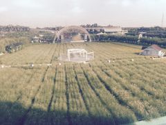 -广州花之恋城堡酒店