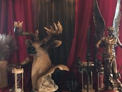 -雪灵魔法世界SHELLY’S TAROT(大良桂畔里店)