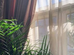 -席家花园(巨鹿花园店)